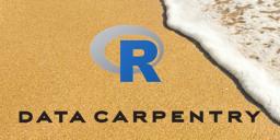 Data Carpentry Logo