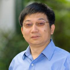 Tao Yang Tao Yang